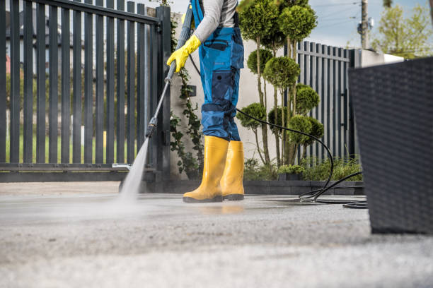 Best Roof Pressure Washing  in Soh Willard, UT